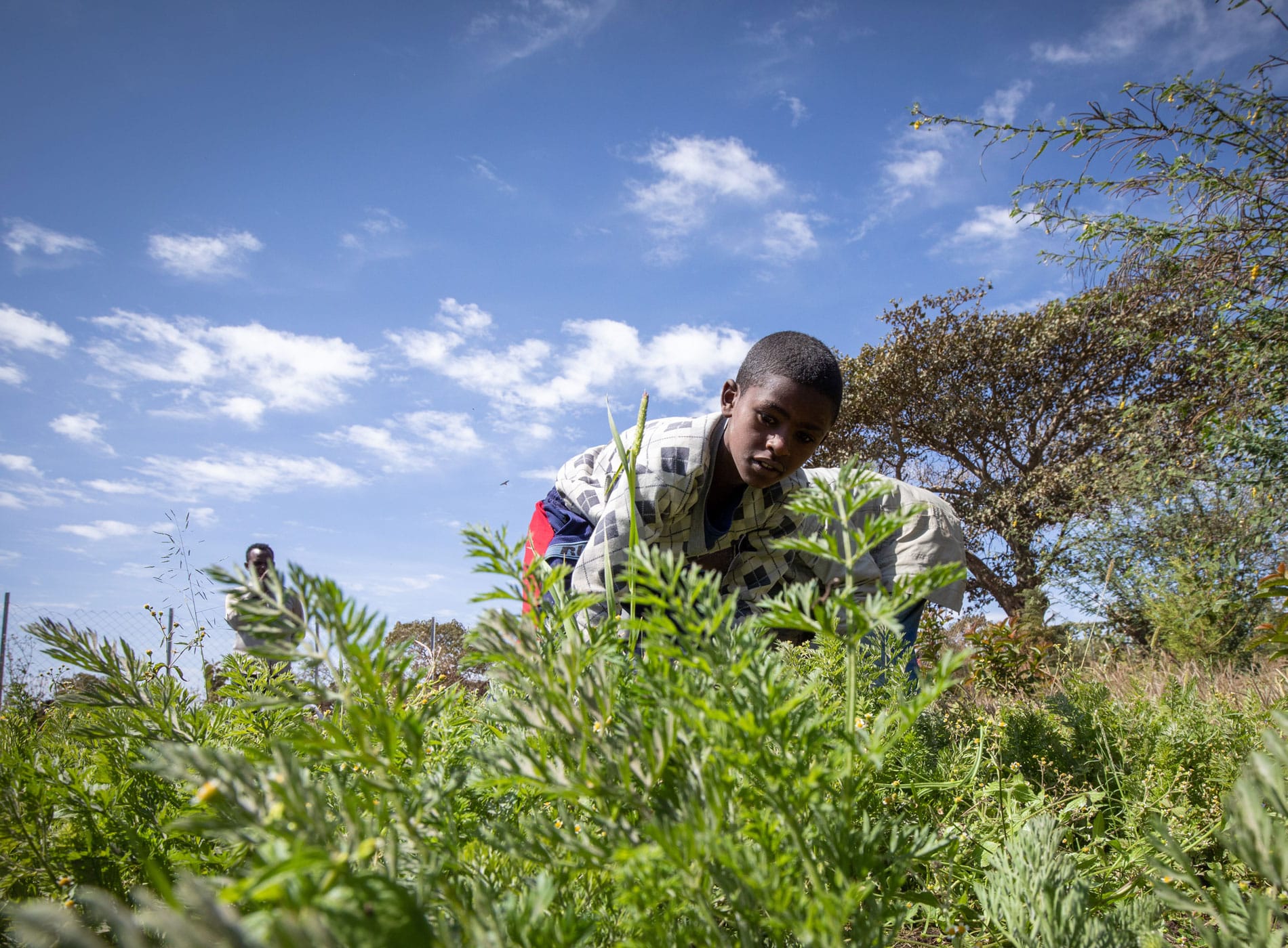 En gutt fra Etiopia står ute i en åker, han har mønstrete skjorte og rød og blå shorts. Bak ham står det en mann. Det er trær i bakgrunnen og en høy blå himmel. Foto: Petterik Wiggers